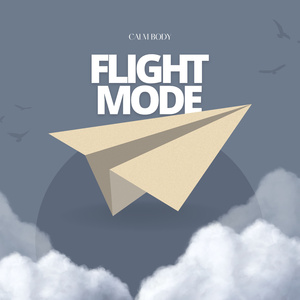 FLIGHT MODE, Pt. 10