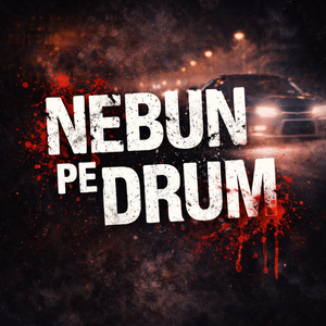 NEBUN PE DRUM