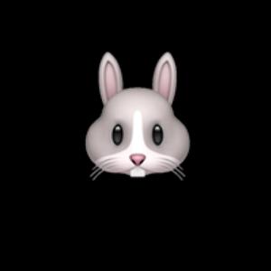 世界/Rabbit is A World