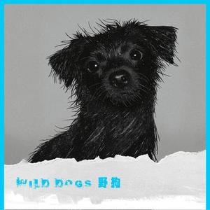 野狗 (Cover 肖顺尧)