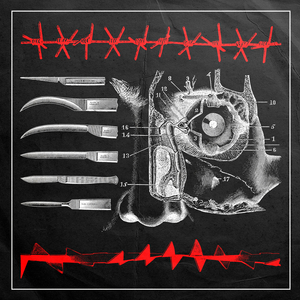 Locust Reign (Live in Orlando, FL 3/14/2022)