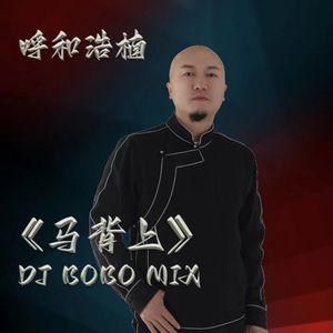 马背上 (DJ BOBO Mix)