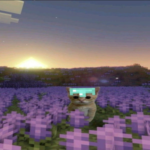 Sarkilar Sokaklara Ait