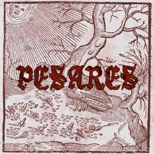Pesares (Demo)