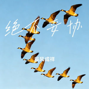 绝不妥协