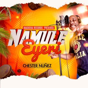 Namule Eyeri