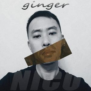 My Name Is Nico