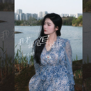 我若提笔写过往