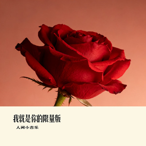 我就是你的限量版