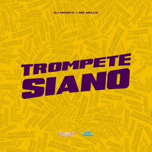 Trompete Siano