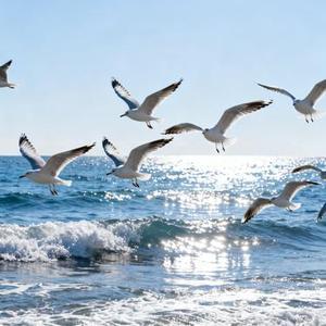 她的纪元 (星华 Remix)