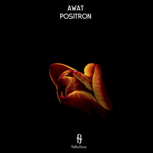 Positron (Extended Mix)