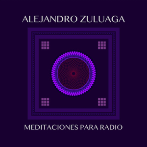 Meditación VI
