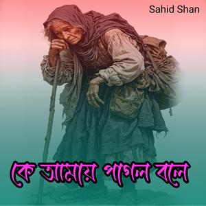 কে আমায় পাগল বলে