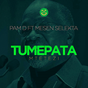 Tumepata Mtetezi
