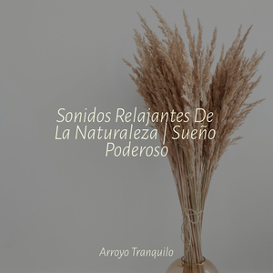 Luz Estelar Radiante