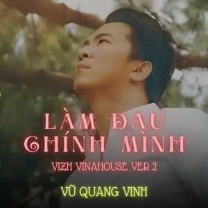 Làm Đau Chính Mình (Vizh Vinahosue Version 2)