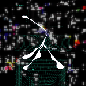 The Features of a Disgrace