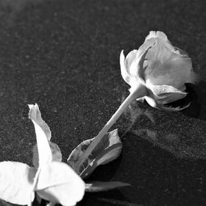 【Scorpio】＂Z＂ Diss Track Type Beat