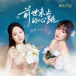 前世未止的心跳