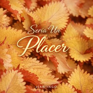 Sería Un Placer
