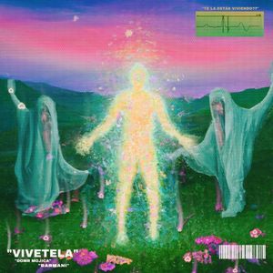 Vivetela