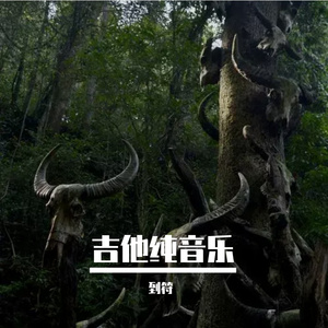 寂寞不停地生长（吉他纯音乐）