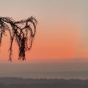 处暑（Prod.By Morrow X Bino）