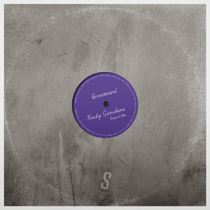 Funky Sunshine (Original Mix)
