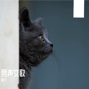 晚风心里吹（cover阿梨粤）