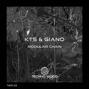 Modular Chain (Original Mix)