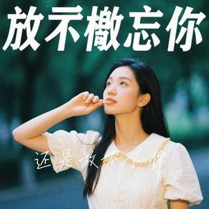 还是放不下你