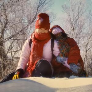 鸽子-送给孟小姐