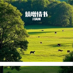 熵增情书