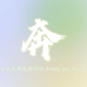 奔（StrayKids韩知城《wish you back》中文改编填词）