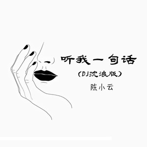 听我一句话（DJ沈浪版）