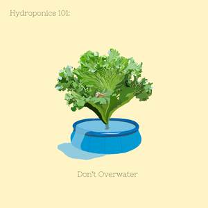 Get the Hell Outta Here