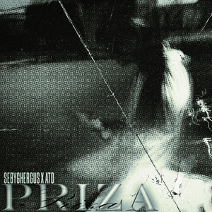 Priza / Beast