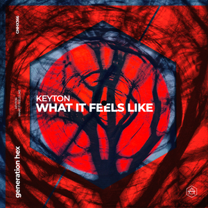 What It Feels Like (Extended Mix)