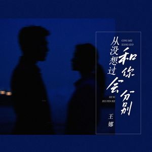 从没想过和你会分别 (DJBanan版)