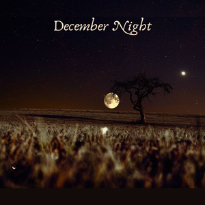 December Night