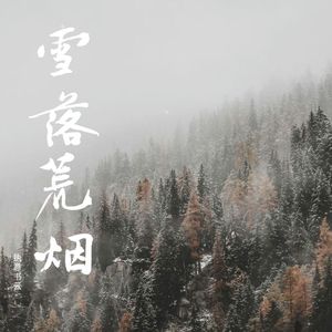 雪落荒烟