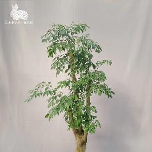 《钢琴白噪引领013