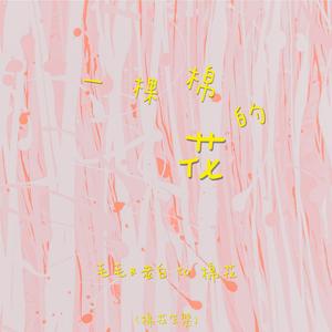 一颗棉的花(棉花生贺)