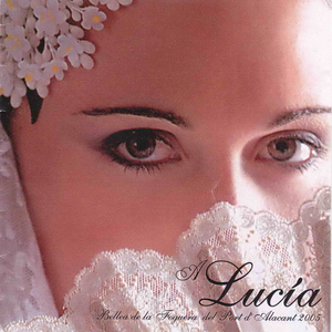 Les Fogueres de Sant Joan