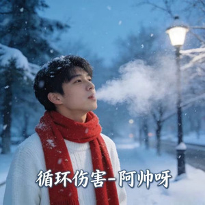循环伤害 (烟嗓版)