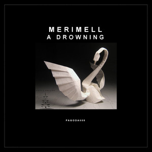 A Drowning (Original Mix)