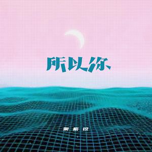所以你