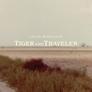 One Step, Another Step