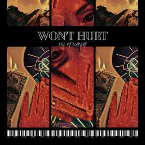 WON'T HURT (feat. FUBAR!)